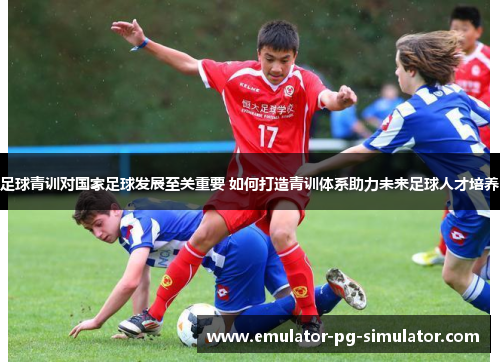 足球青训对国家足球发展至关重要 如何打造青训体系助力未来足球人才培养 足球青训对国家足球发展至关重要 如何打造青训体系助力未来足球人才培养