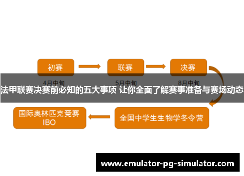 法甲联赛决赛前必知的五大事项 让你全面了解赛事准备与赛场动态 法甲联赛决赛前必知的五大事项 让你全面了解赛事准备与赛场动态