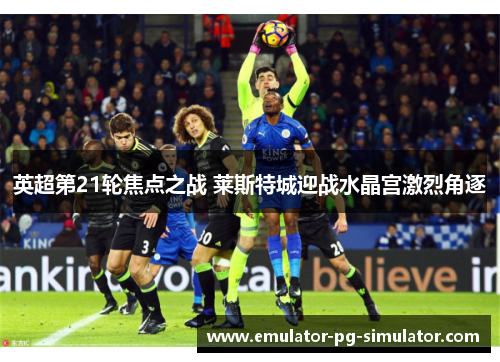 英超第21轮焦点之战 莱斯特城迎战水晶宫激烈角逐