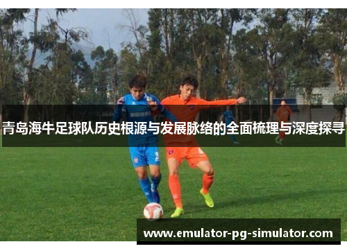 青岛海牛足球队历史根源与发展脉络的全面梳理与深度探寻