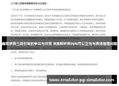 魏震禁赛三场引发的争议与反思 深度解析裁判判罚公正性与赛场管理问题