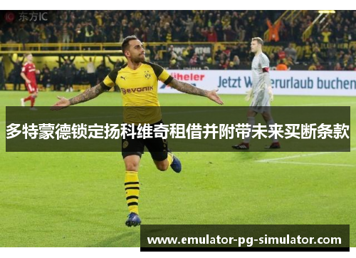 多特蒙德锁定扬科维奇租借并附带未来买断条款 多特蒙德锁定扬科维奇租借并附带未来买断条款