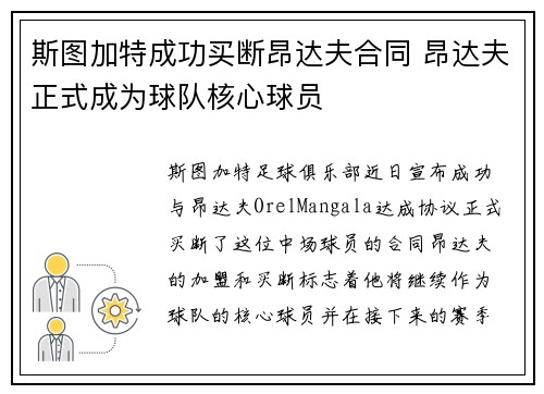 斯图加特成功买断昂达夫合同 昂达夫正式成为球队核心球员