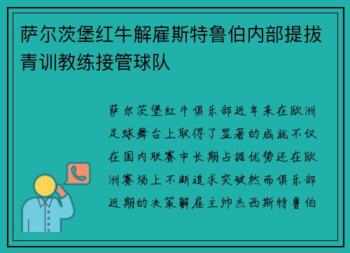 萨尔茨堡红牛解雇斯特鲁伯内部提拔青训教练接管球队